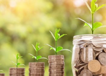 حوكمة الاقتصاد الأخضر ما بين الغموض وغياب المساءلة