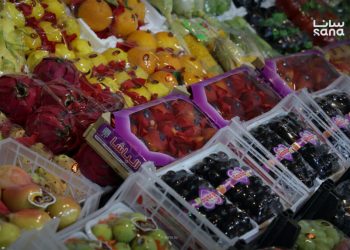 معرض دمشق الدولي الـ62 يفتح آفاقاً جديدة أمام القطاع الزراعي السوري