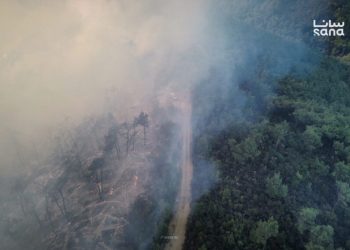 فرق الإطفاء تخمد حريقاً وتواصل جهودها للسيطرة على حريقين في ريف اللاذقية