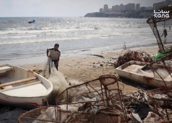 سوق السمك في الرمل الجنوبي باللاذقية.. شريان اقتصادي يواجه تحديات خدمية