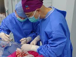 تطور خارق.. أول زراعة ناجحة لرئة خنزير في صدر إنسان “لـ9 أيام”