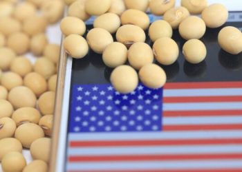 الصين تشتري أولى شحناتها من فول الصويا الأمريكي منذ بدء الحصاد