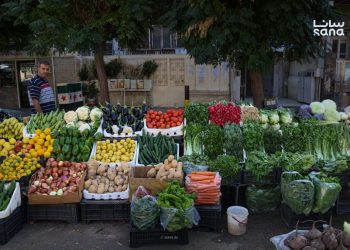 تصدير نحو 6000 طن من الفواكه والخضار السورية إلى دول الخليج والعراق