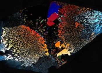 علماء يوقظون “ميكروبات نائمة” منذ 40 ألف سنة