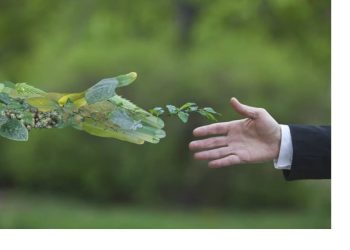 الإمارات تعزز ريادتها الإقليمية في التمويل الأخضر