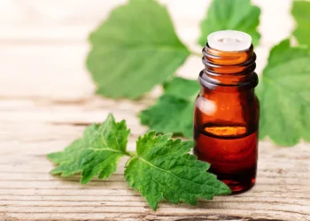 عطر الأثرياء الذي لا يشيخ.. رحلة الباتشولي من طارد للحشرات إلى ملابس النبلاء