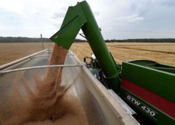 فرنسا تتجه نحو تسجيل أكبر مخزون من القمح بعد تراجع الطلب من الجزائر والصين
