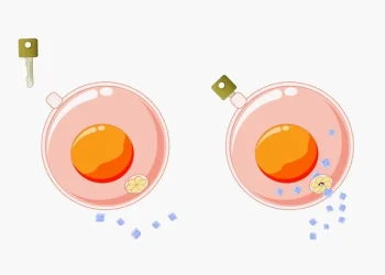 الإنسولين.. من الاستخراج من الأبقار إلى التصنيع عبر البكتيريا