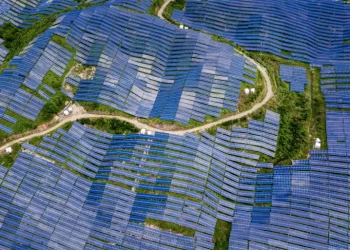 الطاقة الشمسية باتت الأرخص والأكثر موثوقية عالميا