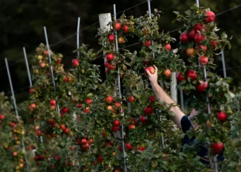 تغيير أنظمة الغذاء يجنب العالم كارثة المناخ و15 مليون وفاة سنويا