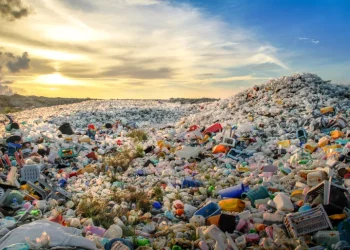 كيف أصبح الجنوب العالمي مكبا لنفايات الغرب البلاستيكية؟