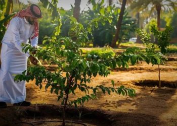 البنك الدولي: يتعين على دول المنطقة تحويل تحديات المناخ والتكنولوجيا إلى فرص