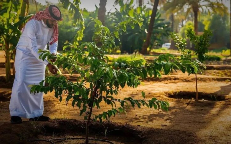 مواطن يشارك في «مبادرة السعودية الخضراء» (واس)
