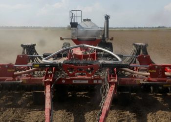 مزارعو فول الصويا الأمريكيون يبحثون عن بديل للصين من نيجيريا إلى فيتنام  