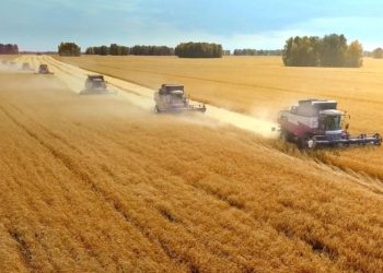 انخفاض أسعار الأغذية العالمية في أيلول متأثرة بهبوط السكر ومنتجات الألبان