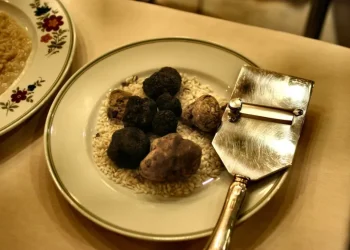 فطر الكمأة كنز ثمين من باطن الأرض إلى أطباق الملوك