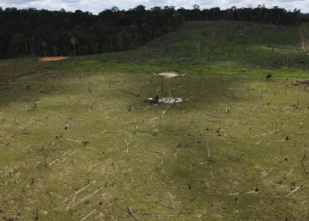 علماء يطورون نظاما ذكيا لرصد التغيرات البيئية أثناء حدوثها