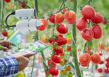 الصين تكشف عن نموذج ذكاء اصطناعي لتعزيز الزراعة