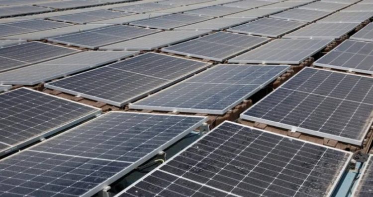 وقعت "مايكروسوفت" أول اتفاقية طويلة الأجل للطاقة المتجددة في اليابان عام 2023. "بلومبرغ"