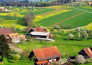 نيوزيلندا تخفض الفائدة لأدنى مستوياتها في أكثر من 3 سنوات