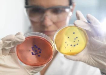 مقاومة المضادات الحيوية… خطر صامت يهدد المرضى