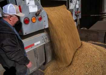 فول الصويا يعزز التقارب الأميركي الصيني