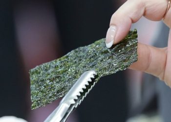 توقعات بتجاوز صادرات كوريا من الأعشاب البحرية المجففة المليار دولار هذا العام