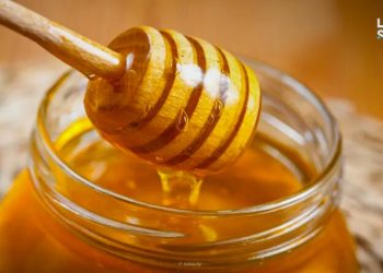 انطلاق مهرجان العسل السوري السادس يوم الإثنين القادم