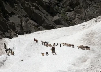 عواقب مدمرة لتغير المناخ في المناطق الجبلية