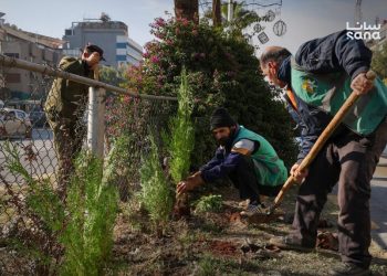 دمشق تطلق حملة لزراعة 10 آلاف شجرة مثمرة وزينة وحراجية في منطقة المزة