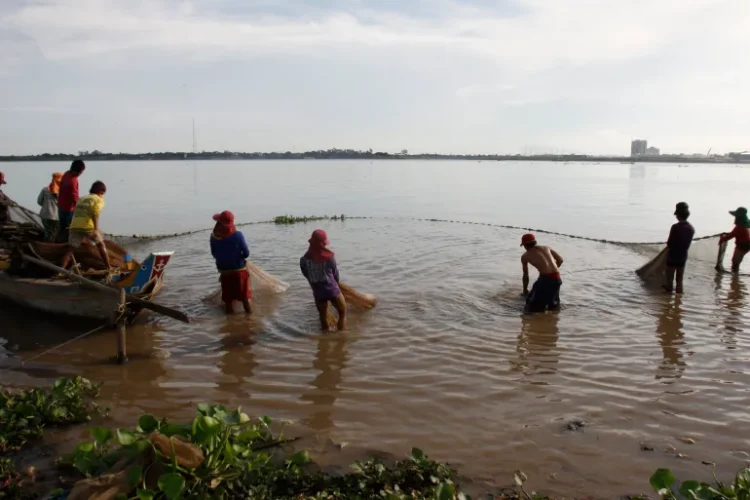 يؤثر تلوث نهر الميكونغ على الثروة السمكية وصحة المستهلكين (أسوشيتد برس)