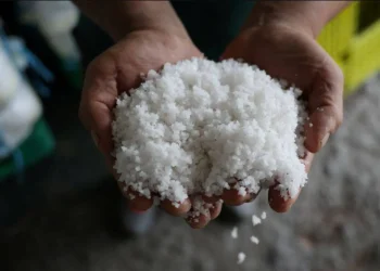 5 طرق فعالة لتقليل استخدام الملح في الطعام