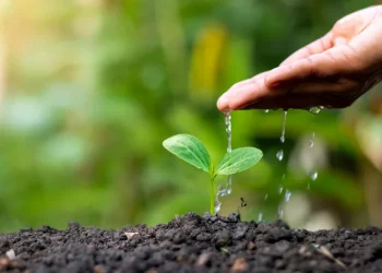 تقرير: سرّ معالجة أزمة المناخ قد يكمن في التربة