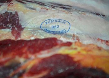 أستراليا ترحب بإلغاء الرسوم الأمريكية على لحوم البقر وتسعى للمزيد