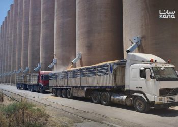 وصول أكثر من 134 ألف طن قمح إلى مرفأي طرطوس واللاذقية