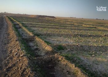 تأخر زراعة المحاصيل الشتوية في الحسكة جراء الجفاف