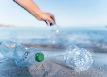 كيف تؤثر الجسيمات البلاستيكية النانوية على صحة الجهاز الهضمي؟