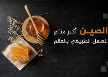 أكبر 10 دول مصدرة ومستوردة للعسل بالعالم بينها بلد عربي