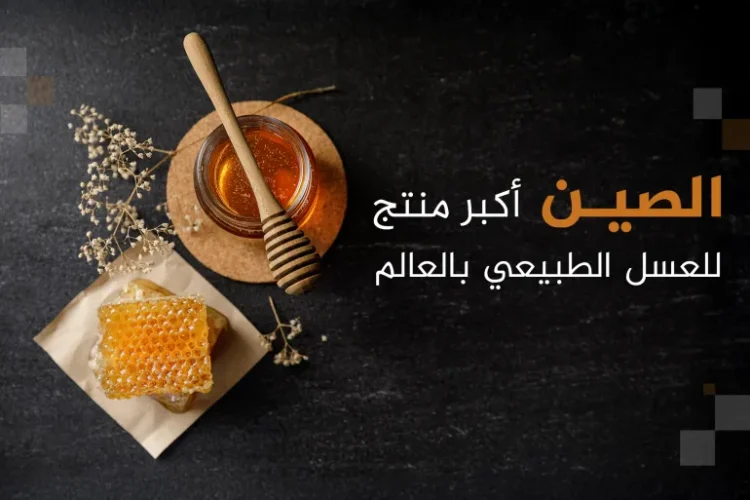 الصين أكبر دولة منتجة للعسل الطبيعي بالعالم (الجزيرة)