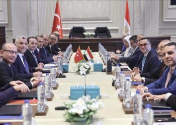 تفاهم تركي مصري لإعادة تشغيل خط تجاري بحري بين البلدين