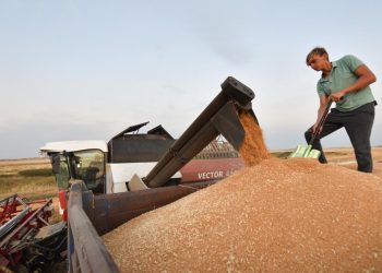 مباحثات سورية – روسية لاستيراد القمح بالسعر العالمي دون أعباء جديدة