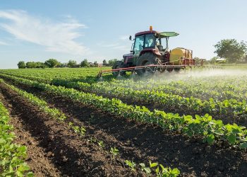 تطوير الزراعة في سوريا ليس خياراً ثانوياً.. بل ضرورة وطنية