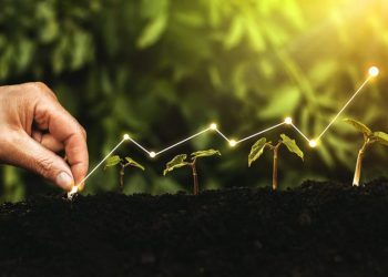 من النمو إلى الاستدامة.. الاقتصاد الأخضر يعيد تشكيل النظام الاقتصادي العالمي