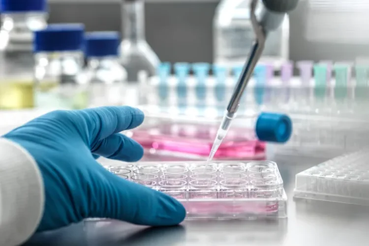 يحاول العلماء تحويل البوليسترين إلى مادة مهمة جدا في الصناعة اسمها التولوين (غيتي)