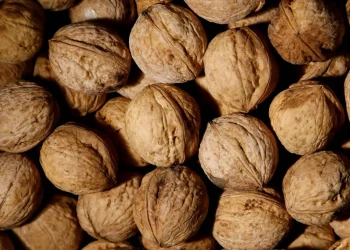 15 غذاءً طبيعياً غنياً بـ أوميغا 3