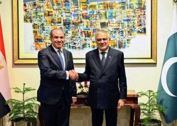 مصر: مهتمون بتيسير الربط بين المنطقة الاقتصادية لقناة السويس وميناء جوادر الباكستاني