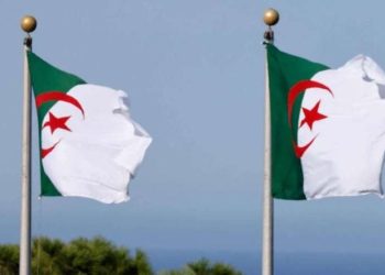 البرلمان الجزائري يصادق على أكبر موازنة بتاريخ البلاد لعام 2026