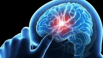 دراسة: الدماغ يبقى في مرحلة المراهقة حتى أوائل الثلاثينيات