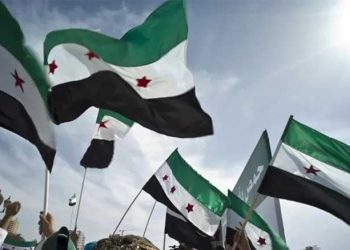 من الثورة إلى المصنع.. بناء السيادة الوطنية