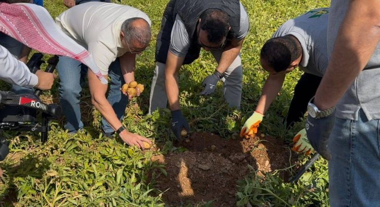 صورة تظهر طبيعة تربة حائل (الشرق الأوسط)